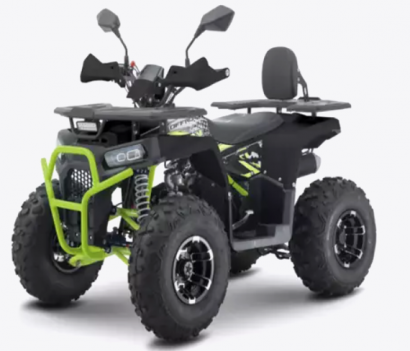 Квадроцикл Forte FFD1500