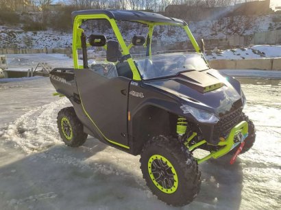 Баггі Segway Fugleman