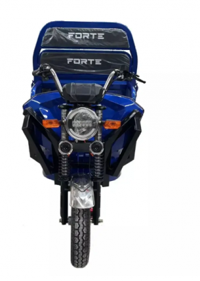 Электротрицикл грузовой Forte JH-1200